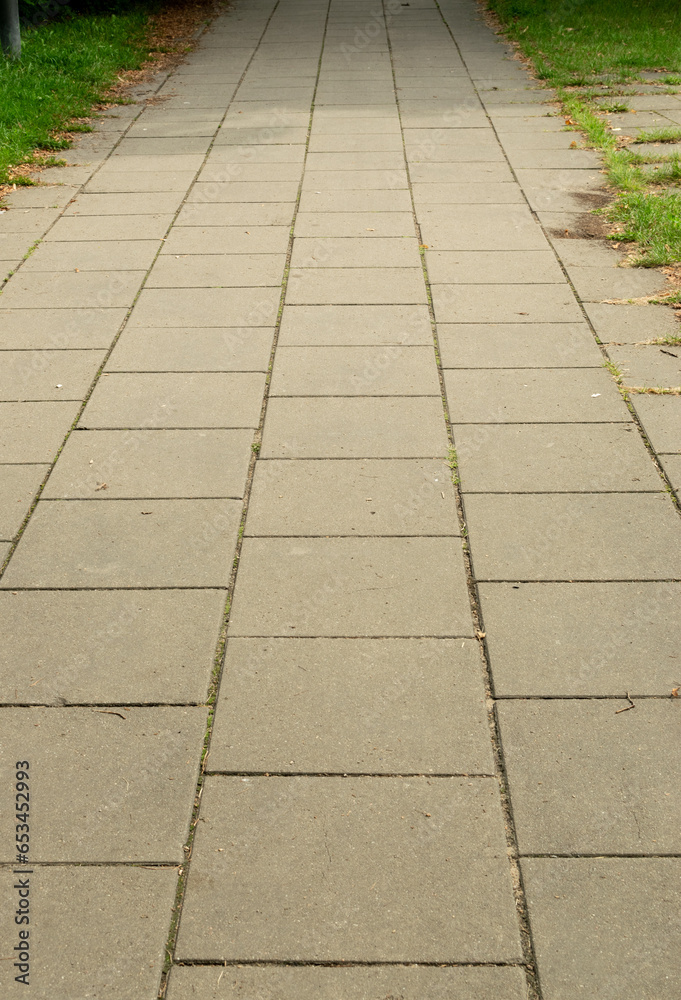 Fototapeta premium Modern Paved Path