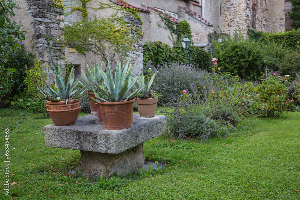 Εκτύπωση καμβά Vintage garden design and landscaping:Terracotta pots planted with huge succulen