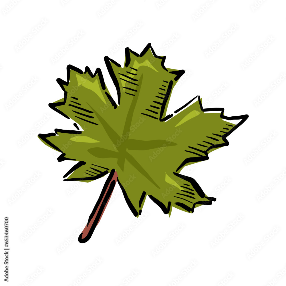 autumn leaf drawing vector