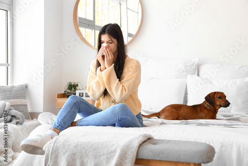 Allergic young woman with dachshund dog sneezing in bedroom photo