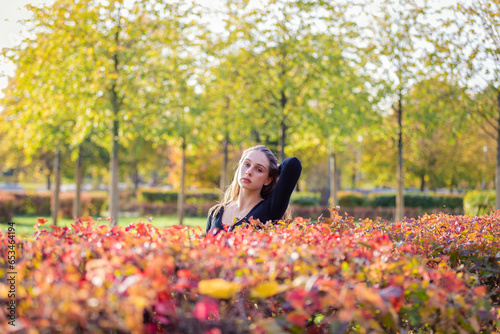 Portrait of a beautiful girl near a red-yellow bush in an autumn park.
