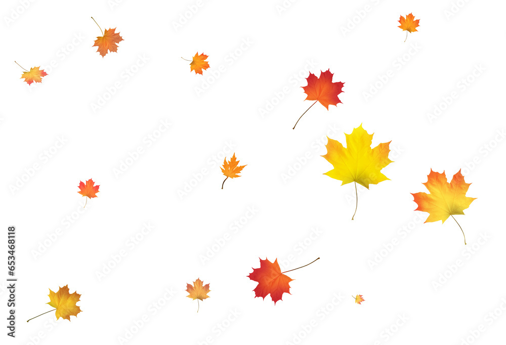 Obraz premium Autumn background made of beautiful maple leaves.