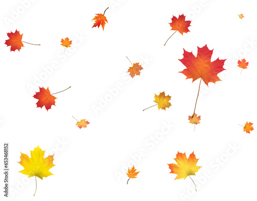 Beautiful autumn maple leaves swirling in the wind.