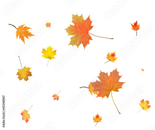 Autumn bright maple leaves background.