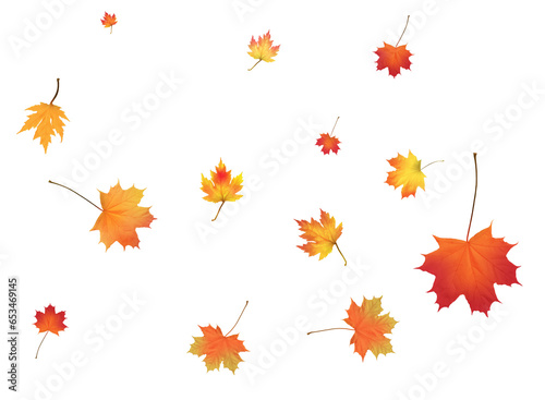 Beautiful autumn maple leaves swirling in the wind.