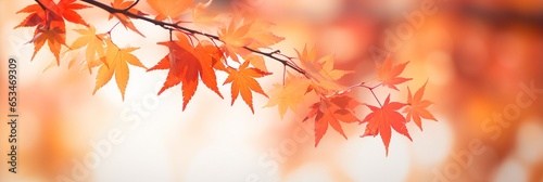 Beautiful orange and red autumn leaves texture background  Thanksgiving backdrops.
