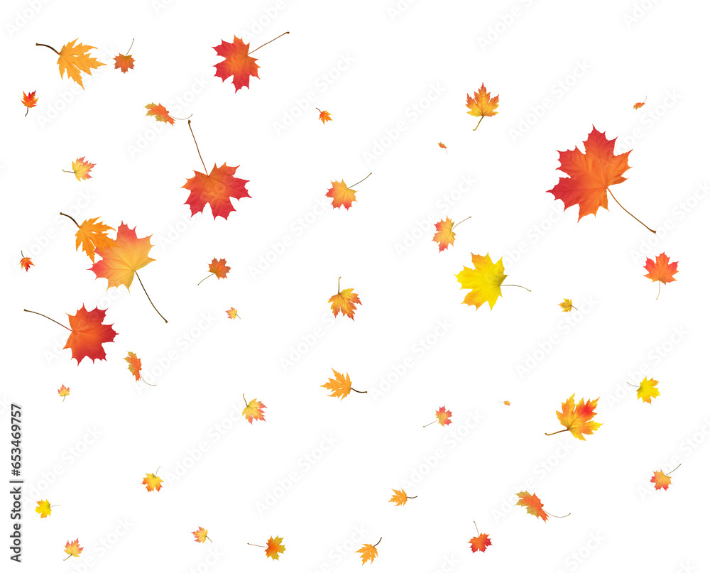 Gold Autumn background. golden maple leaves. Gold Autumn background. golden maple leaves.