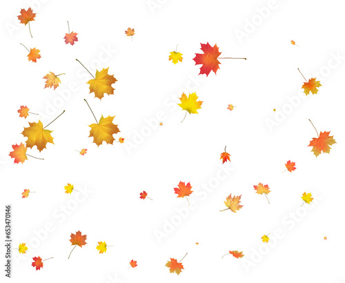 Gold Autumn background. golden maple leaves.