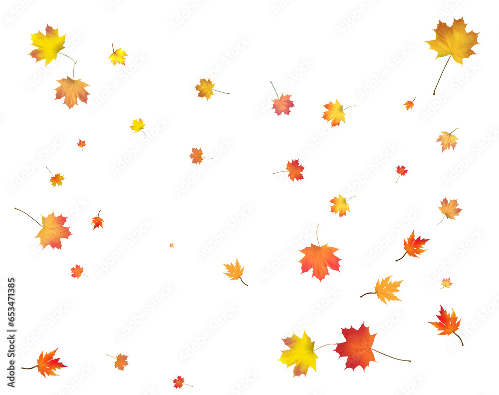 Falling golden autumn maple leaves.