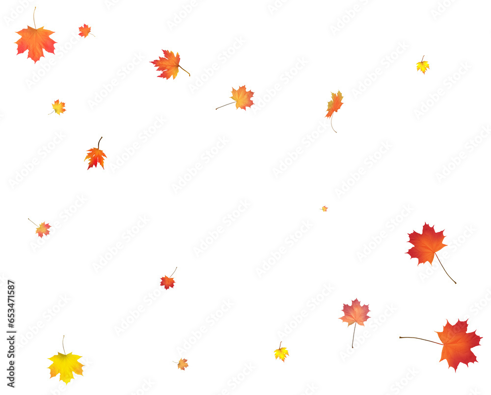 Falling golden autumn maple leaves. Falling golden autumn maple leaves.