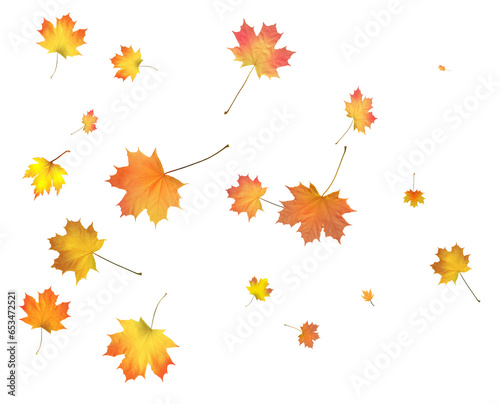 Background with golden autumn leaves
