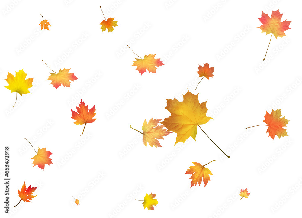 Background with golden autumn leaves Background with golden autumn leaves