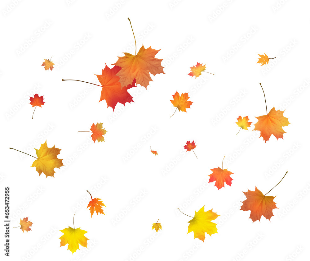 Background with golden autumn leaves Background with golden autumn leaves