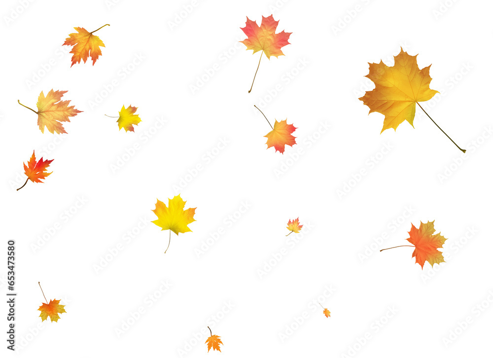 Pattern with Colorful Autumn leaves.