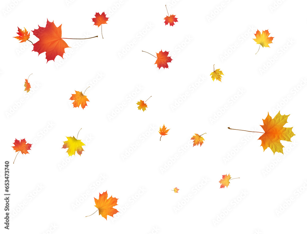 Autumn background made of beautiful maple leaves.