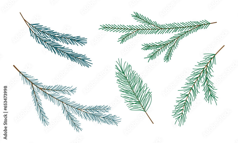 Fototapeta Set of green spruce pine fir branches isolated on white. Coniferous tree twigs for design. Hand drawn evergreen plant. Christmas new year holidays concept. Design element