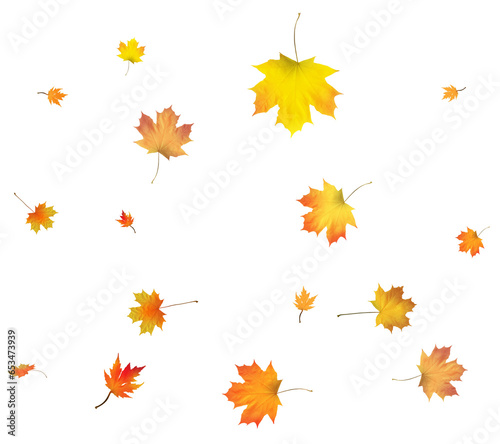 Autumn background made of beautiful maple leaves.