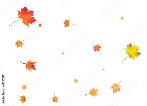 Wallpaper Mural Autumn background made of beautiful maple leaves. Torontodigital.ca