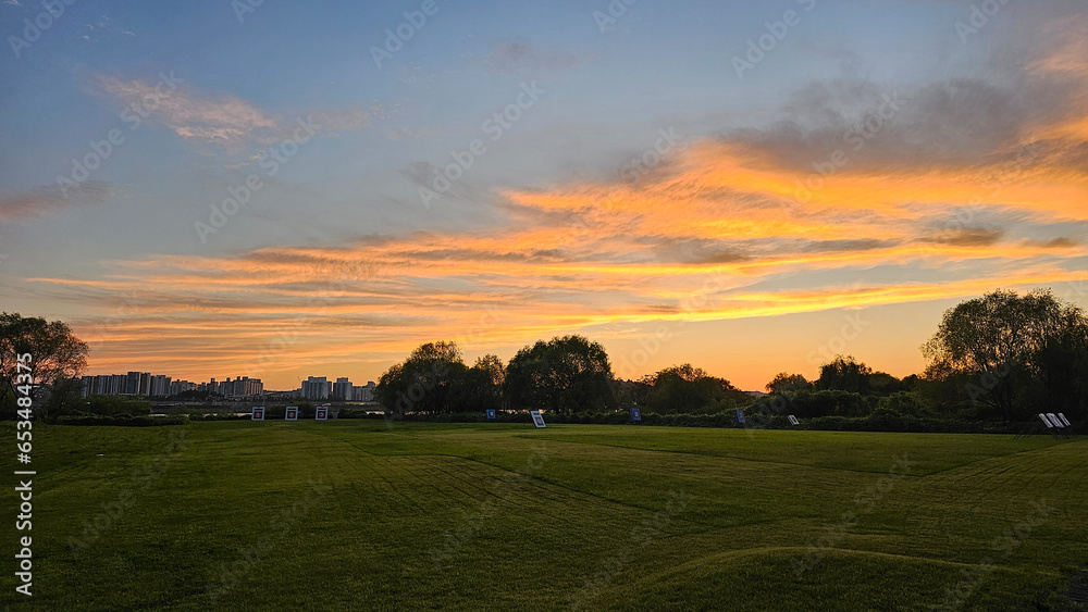 Naklejka premium sunset over the field