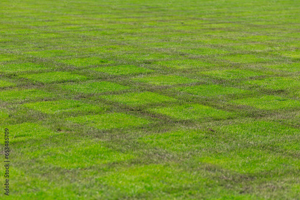 Beautiful background of football field with lush green grass, selective focus and copy space. Graphic resource Beautiful background of football field with lush green grass, selective focus and copy space. Graphic resource