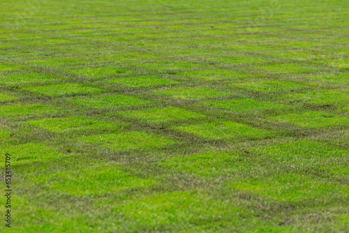Beautiful background of football field with lush green grass, selective focus and copy space. Graphic resource