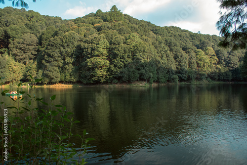 Paisaje boscoso en Presa del llano  Estado de M  xico. El espeso bosque se refleja en el agua del lago.