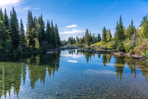 Fototapeta Cottonwood Creek In the Grand Teton National Park with Alpine Tree and Clear Wat