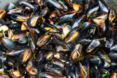 Closeup of seashells