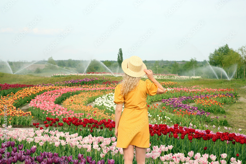 Woman wearing wicker hat in beautiful tulip field, back view