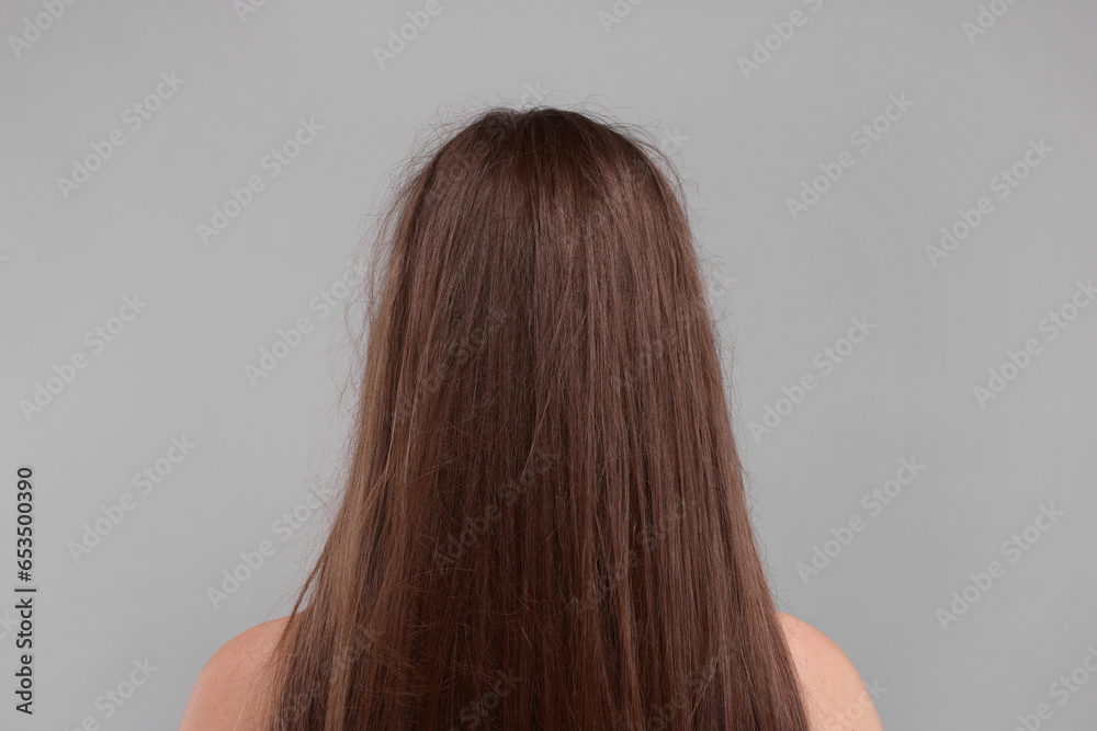 Woman with damaged hair on light grey background, back view Woman with damaged hair on light grey background, back view