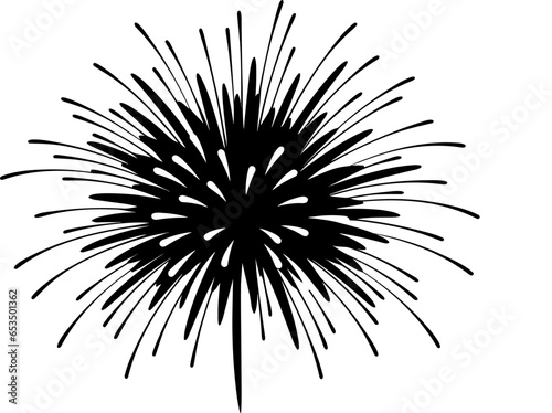 Vector firework icon . Firework with stars and sparks .Firework simple black line icon .