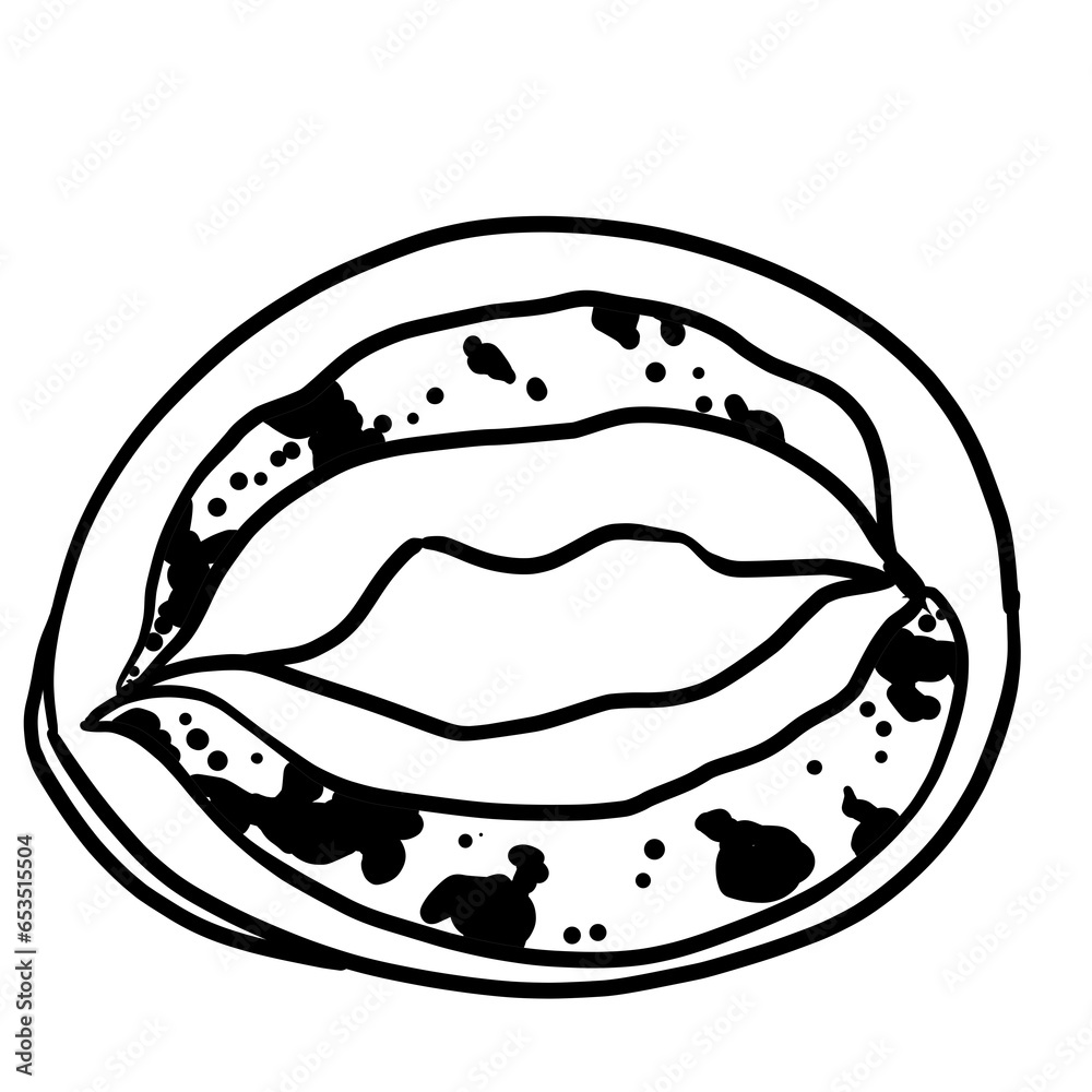 Simple and realistic line drawing of abalone Simple and realistic line drawing of abalone