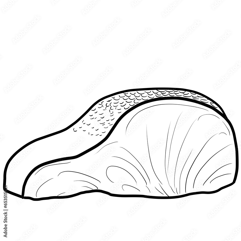 Simple and realistic line drawing of salmon fillet Simple and realistic line drawing of salmon fillet