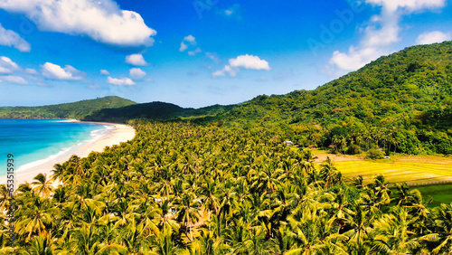 Nacpan Beach Palawan Philippines Drone shot with tropical beach, waves and lots of palm trees photo