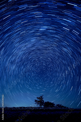 空巡る星々と一本の木