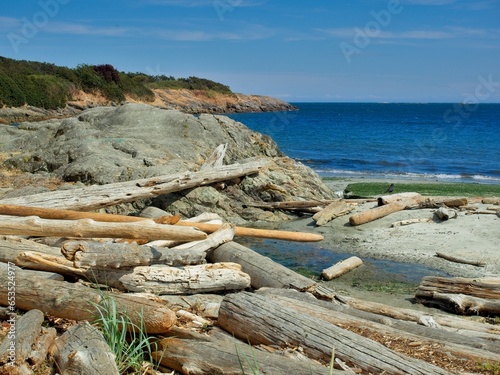 Sandy Willows beach with driftwood strewn along the shore