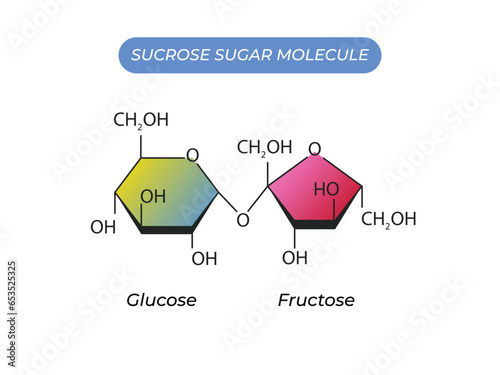 Sucrose Sugar Molecule. Glucose And Fructose