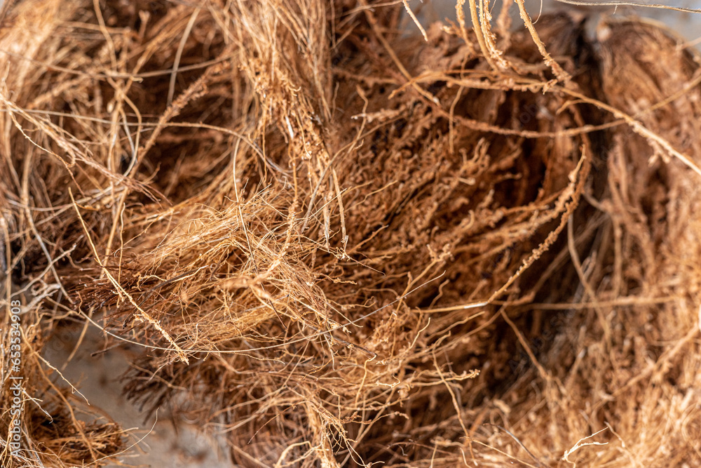 coconut fiber. Background from coconut coir. Texture coconut fiber. Background from coconut coir. Texture