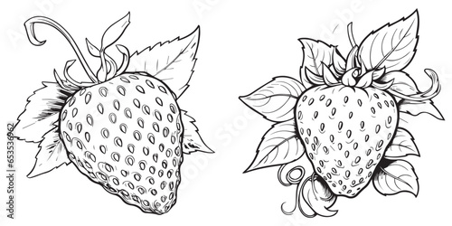 A set of silhouette line art strawberry coloring page vector illustration