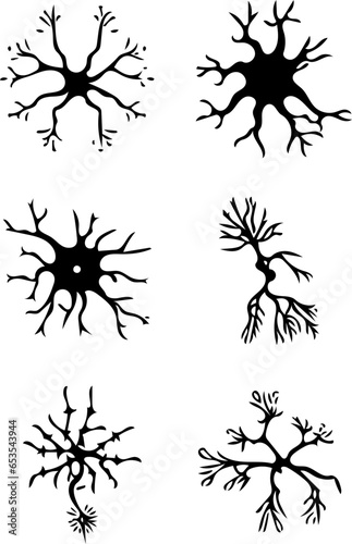Vector illustrations of neurons in black and white, brain cells, biology diagrams set