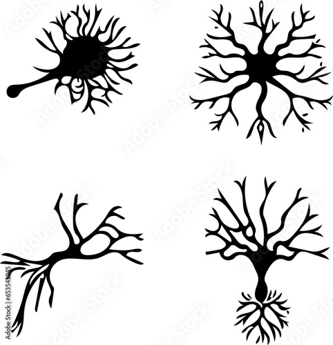 Vector illustrations of neurons in black and white, brain cells, biology diagrams set