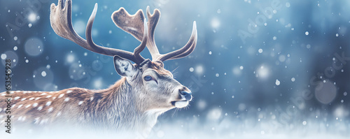 Beautiful snow cover in a forest, Close-up shot, animals, model and leafs - The Snow Cover Series