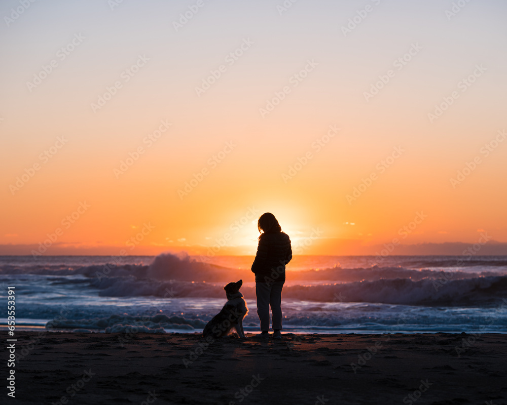 Silhouette of a person and their dog walking on the beach at sunset.