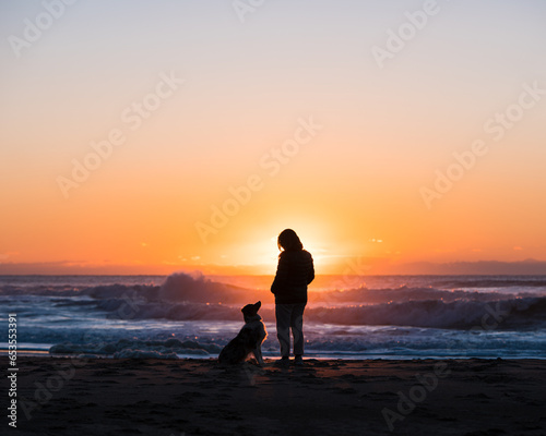 Silhouette of a person and their dog walking on the beach at sunset.