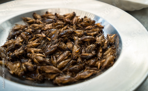 Fried insects. Exotic Asian food, insect-based food. Superfood concept.