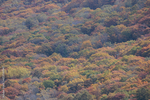 秋の山 © sunnysunny
