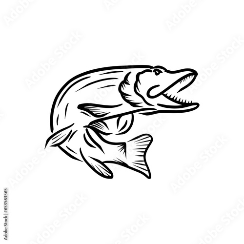 trouth fish hand draw skecth vector design photo