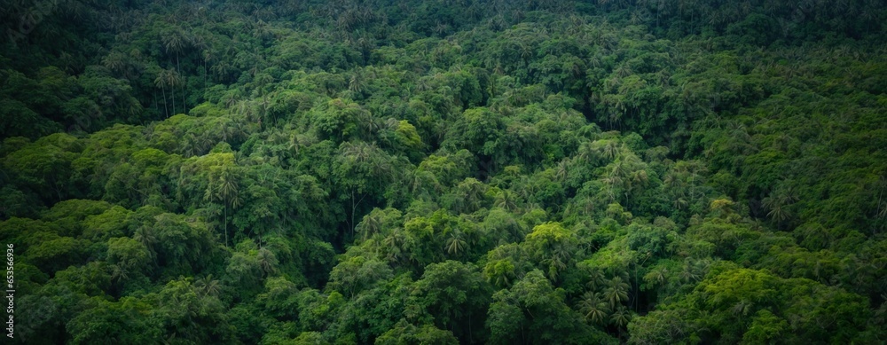 Beautiful, cinematic view at Rainforest from above.  High angle panorama picture of tropical forest. Generative AI.