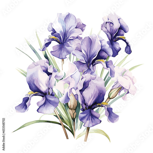 watercolor flowers bouquet floral illustration