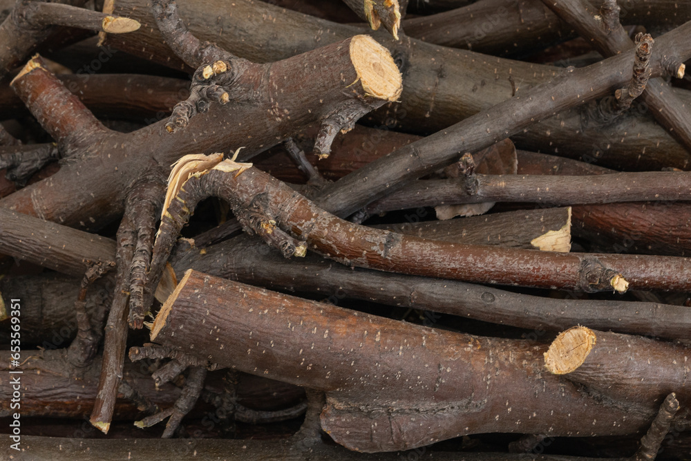 Bundle of dry sticks and branches. Dry brushwood. Firewood. Large pile of sticks twigs of a tree. Bundle of dry sticks and branches. Dry brushwood. Firewood. Large pile of sticks twigs of a tree.